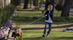 Povlačenje i povodac kreten