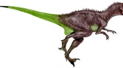 Noazavr