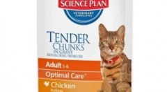Trener preglednika cat hrane