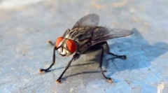 Su spavaće sobe opasne?