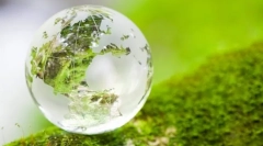 Osnovni pojmovi ekosustava