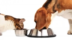 Značajke klase klase holistic