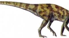 Parksosaur