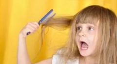 Pediculza kod djece: kako donijeti uši i gnid