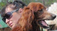 Otac iz oglašavanja chappi: šta se dogodilo sa legendarnim psom