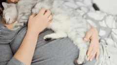 Zašto mačka pada na čovjeka?