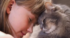 Zašto mačke smetaju?