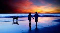 Zašto se pas naziva najboljim muškarcem