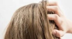 Redoslijed primjene nuduch facte of last i gdid