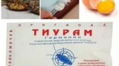 Tiramski prah od žohara