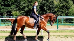 Sigurnosna uputstva za jahanje