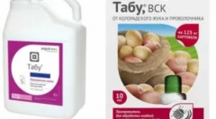 Priprema i uputstva tabu za njegovu upotrebu