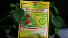 Priprema trihoderma i uputstva za njegovu upotrebu