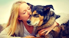 Sklonište za pse u regiji moskve i moskva. Daj svoj život prijatelju