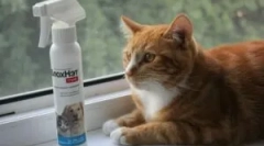 Upotreba fleeh i grinja