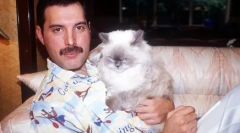 Fluffy muses: činjenice o mački poznatih ljudi