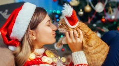 Sretna nova godina, mačka! 14 novogodišnje ideje za poklon za mačke