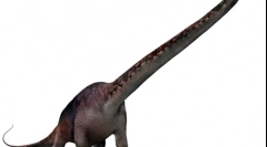 Seissicosaur