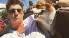 Kakva je pasmina osvojila srce aleksejskog vorobyova?