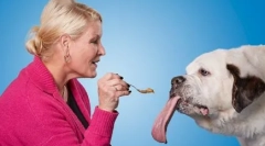 Pas sa najdužim jezikom na svijetu