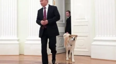 Ruski predsjednik vladimir putin psi