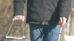 Specijalizacija pasa