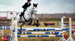 Sportisti, umjetnici, spasioci