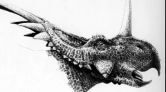 Straakosaur