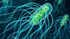 Zgrada i karakteristike mikroorganizama