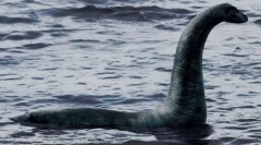 Tu je lochnes monster?