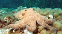 Top 10: najpametnije avionske agencije