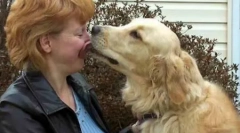 Top 10 naj hrapavih životinja