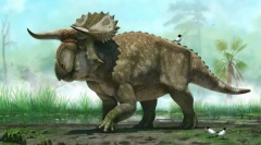 Herbivore dinosaurusi