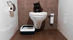 Cat toaleti zatvoreni: odaberite udobnost za životinju i čišćenje za dom