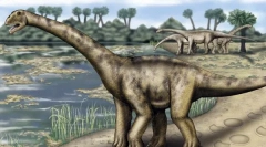Tourisaurs