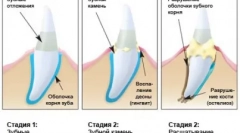 Domaća briga o predatoru - catick čišćenje