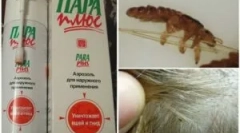 Vrste i primjena fondova parni plus iz ušiju