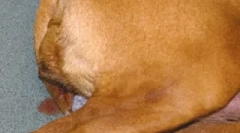 Oblikovano pražnjenje